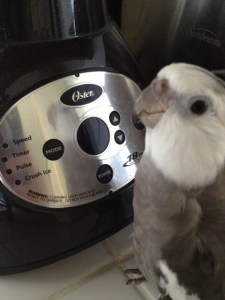 Wow! What a perfect color combination - grey and white is lovely together!