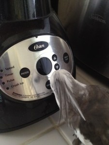 And so friendly - I think I'm in love!