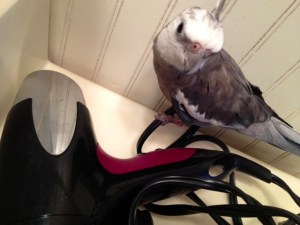 Better take a pause before I look again.