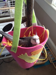 Quite soft and comfy too.