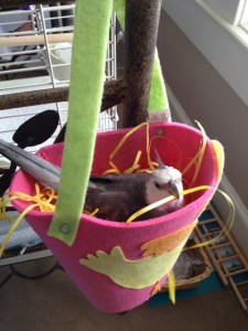 I can rearrange the straw for maximum comfort.