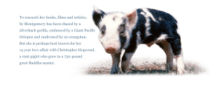 Christopher Hogwood as a baby (he would later top 750 pounds!)