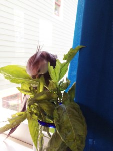 Well well well. What have we here?