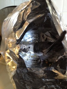 Oh look - this must've been what Mom was crunching on.