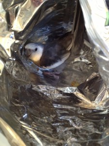 Now - always the trickiest part - the exit strategy.