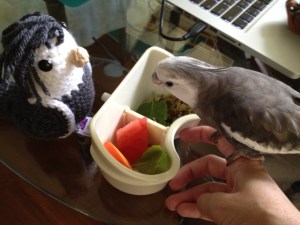 Well okay, if you say it's safe to eat this "chop" stuff...