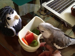 You know, you're quite pretty. You look a lot like....me. 