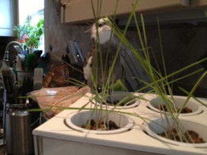 Wow. I'm surprised everyone isn't snacking on this.