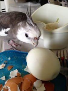 Well thank goodness. Finally something that looks familiar.