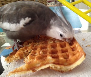 I love you more than millet, houseplants or pizza crust.