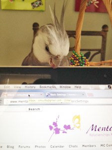 Man this material is solid. I keep biting and biting and nothing happens.