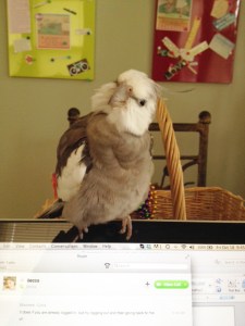 She is really working away - she doesn't seem to notice I'm reestablishing dominance.