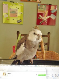 Poor thing - I know she's not very quick on the uptake - I'll just give her a few more minutes to figure it out.