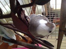 See, Mom - it looks so much better now right?!