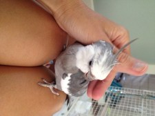 Yes, start with the ones in the back please.