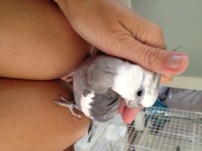 Now the ones on the side....both sides.