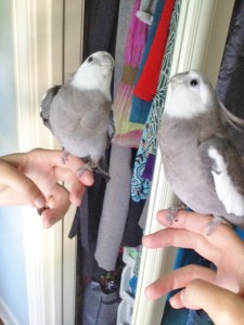A very pretty reflection - right where it always is - in Mom's closet mirror.