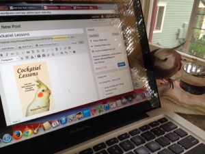 Hmmm. Looks kinda like me....