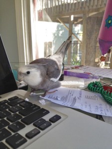 I wonder why she doesn't look pleased?