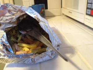 It's a good thing I keep my spelunking skills sharp - you just never know when an interesting cave might appear!