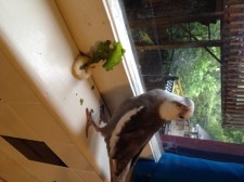 I guess they won't be coming 'round here anymore, huh, Mom?