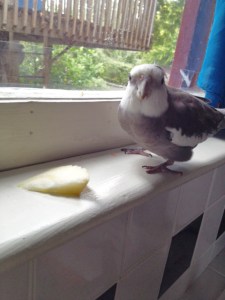 Mom, what is this? It looks crunchy but it's not seed.