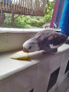 Well, shoot - I'll just test it out myself and see.