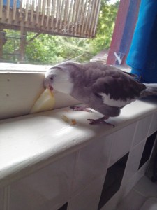 I'll just try a couple more bites.