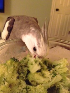 Sticking your nose into the dish right away can instantly dampen resistance from other diners.