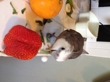 How do ya like me now, sucka!?!