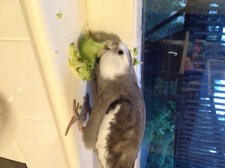 Gotta keep her hooked - I'll take a big (cute) bite.