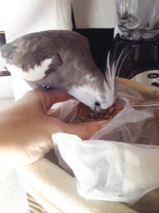 Mom's definitely getting a "5 star" rating for this breakfast.