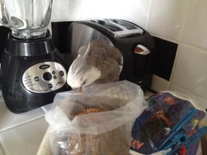 So crunchy and tasty just as-is (as long as the featherless being doesn't pour that odd cold white substance over it like she likes to do).