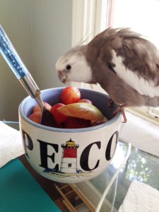 Okay, now that I've finally got your attention....