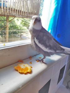 Boy, Mom sure does look proud. Maybe I should pose just a bit longer since she has that green flashing thing out again.