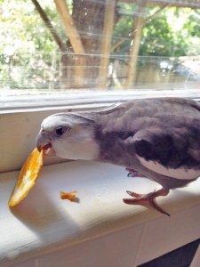 Well, well, well. What have we here....