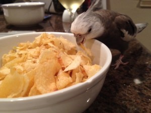 Yup. I was right as usual.