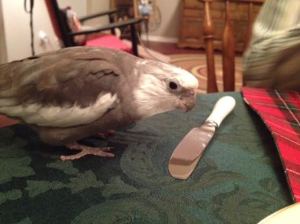 ButterKnife2