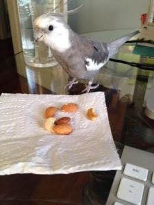 WHOA. What are THESE?