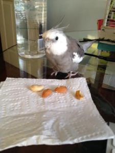 I can't really tell if Mom wants me to have them. Only one way to find out....