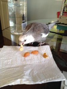 Hmmmm. Not bad - not half bad!