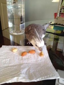 I think I like the white curvy one the best.