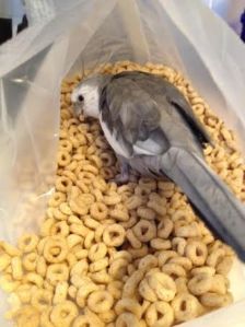 I'll just sample one to see if I'm right....