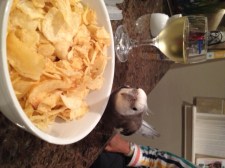 These look very crunchy indeed.