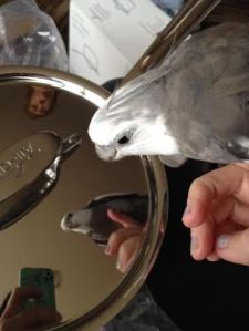 I am hereby "appropriating" this item due to its exceptional cuteness.