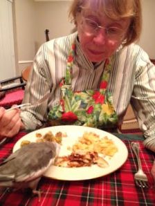 Well, the chef is eating this new dish, so it must be good.