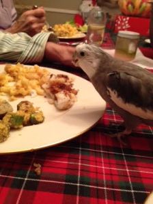 Yup, my culinary instincts were right as usual - delicious!