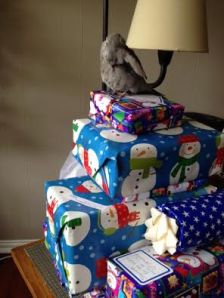 Preening on the gifts you have selected helps other guests know they are spoken for.