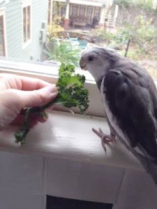 Well let me just check this out. 