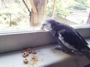 Wait til she gets an eyeful of what I can do with this one!